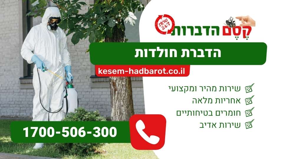 הדברת חולדות מקצועית